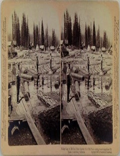 Item #020658 [Logging] Pulling Logs in McCloud River Lumber Co.'s Mill Pond. Stereographic, Stereoscope, Stereoview Photograph.