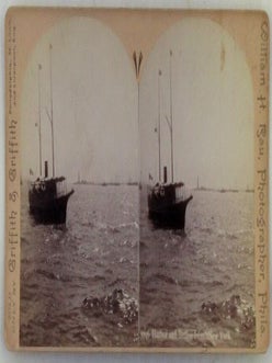 Item #020800 Harbor and Bedloe Island, New York, Stereoview Slide, Photograph. #7746. William H....