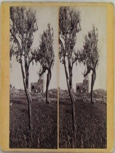 Item #021321 The Tomb of Rachel, with Olive Trees, near Bethlehem. Stereographic, Stereoscope,...