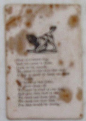 Stories About Dogs
