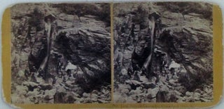 Item #022731 Silver Cascade, Crawford Notch (New Hampshire) No. 170. Stereographic, Stereoscope,...