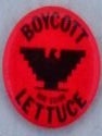 Boycott Non-Union Lettuce Pinback. United Farm Workers Pinback